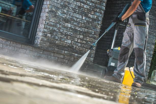 Best Spring Cleaning  in Niles, OH