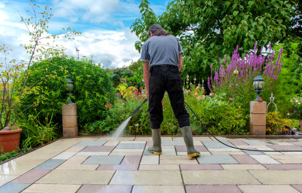 Best Fence Cleaning  in Niles, OH