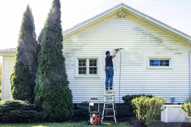 Best House Exterior Washing  in Niles, OH